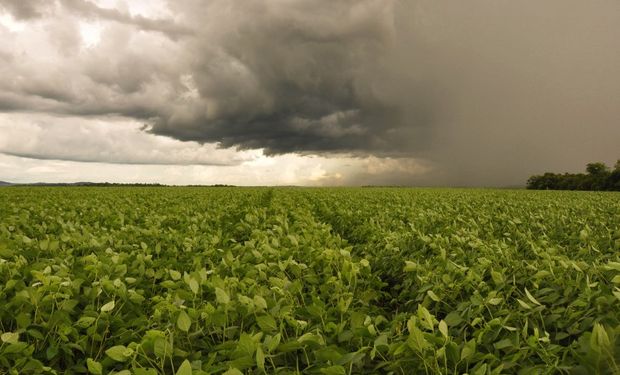 Seguro rural cobre só 14% das lavouras no Brasil, mesmo com alta nos riscos climáticos