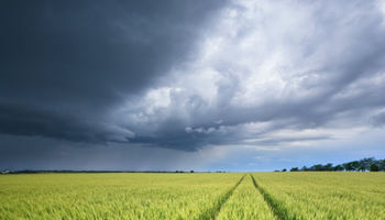 ¿Y ahora? El clima variable domina el inicio del 2026 y esto es lo que puede pasar con las lluvias durante el verano