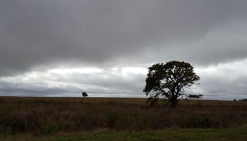 La zona núcleo espera seis días de tiempo inestable y posibilidad de lluvias