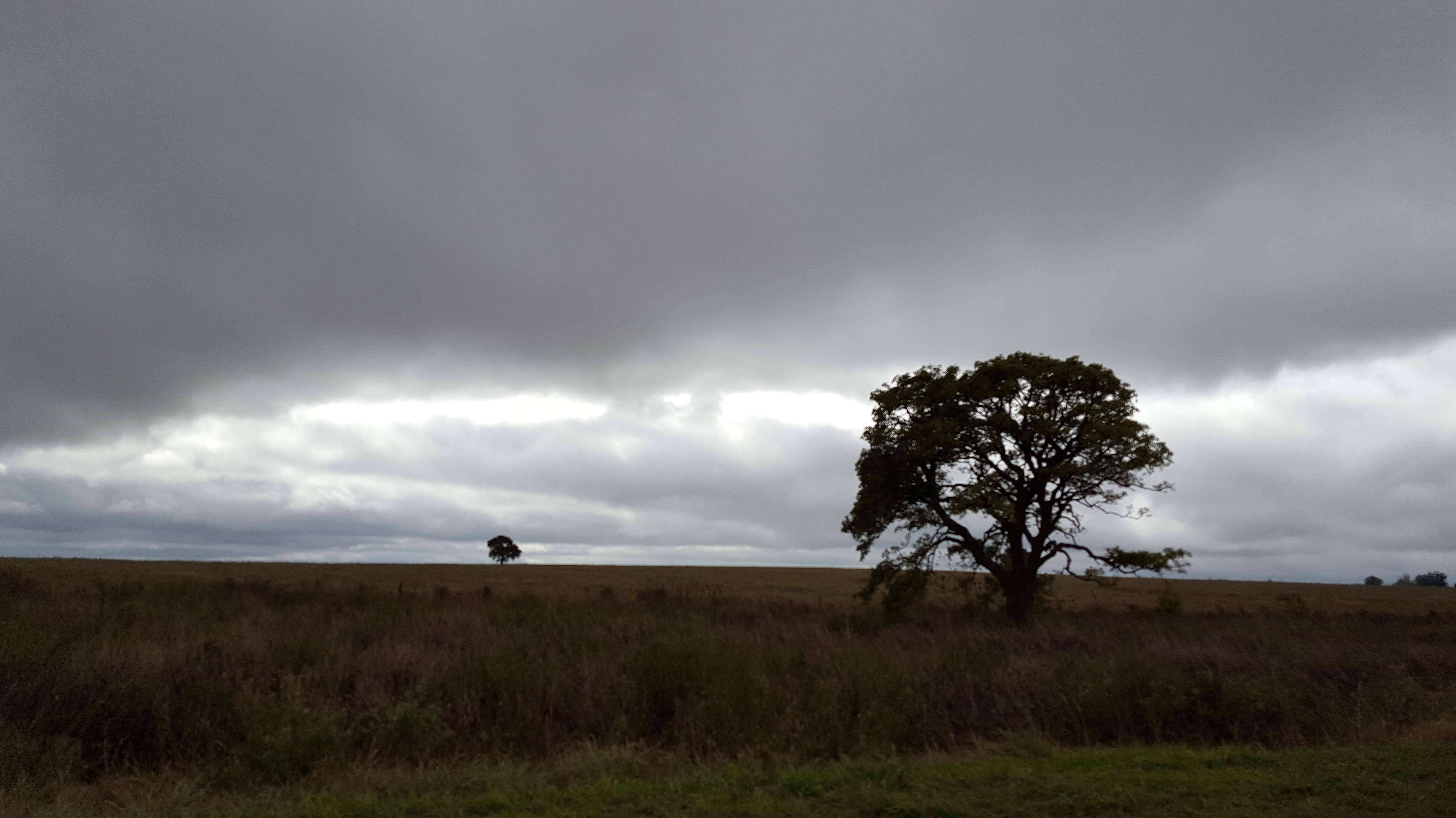 noticiaspuertosantacruz.com.ar - Imagen extraida de: https://news.agrofy.com.ar/noticia/209989/tiempo-frio-y-cielo-nublado-region-centro-pero-pocas-posibilidades-lluvias