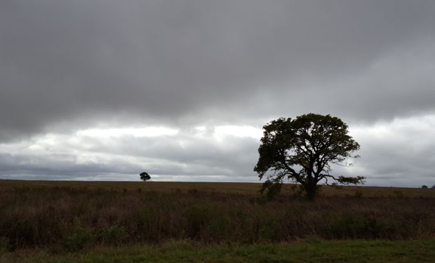 Tiempo frío y cielo nublado en la región centro, pero con pocas posibilidades de lluvias