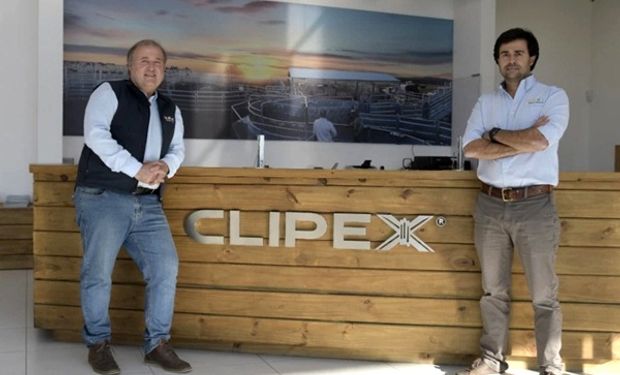 Clipex: la empresa que nació para solucionar el problema de los alambres caídos y busca pisar fuerte en Argentina