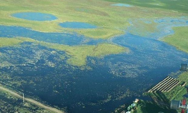 Kicillof quiere la “quinta cuota” del inmobiliario rural y los productores explotaron: "Esta medida es ilegal e improcedente"