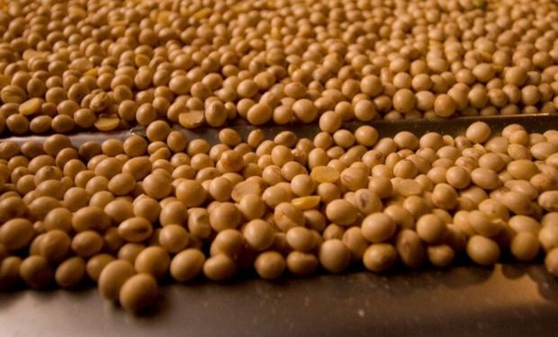 CNA vai ao STF contra decisão que suspende ações sobre a Moratória da Soja