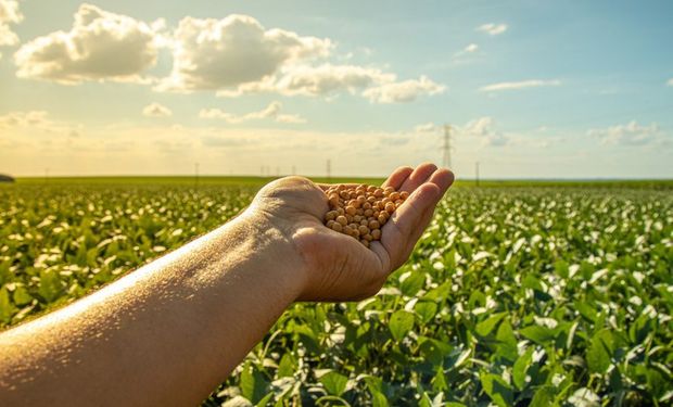 CNA vai ao STF contra regras que restringem crédito rural com base em desmatamento