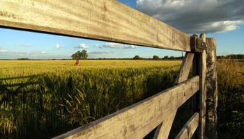 Se vienen nuevas lluvias y anticipan un marcado descenso térmico: cómo sigue el tiempo en el campo