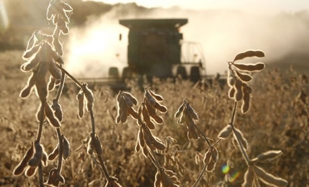 Mejoran las condiciones para la cosecha: qué dice el pronóstico para el agro para los próximos días