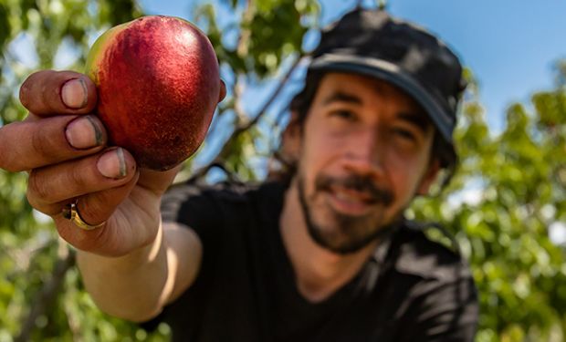 La coexistencia de los sistemas de producción bajo buenas prácticas