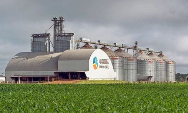 Señal al mercado: el gigante agroindustrial que empezó a comprar soja "libre de deforestación"