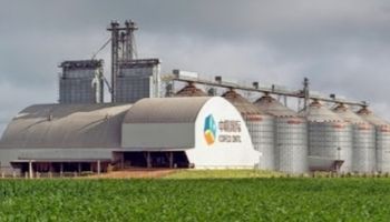 Usina da Cofco é investigada por morte de peixes e contaminação de rio em SP