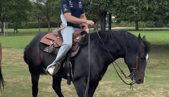 "Nos vamos al campo: Colapinto bromeó sobre su futuro y sorprendió con un video a caballo