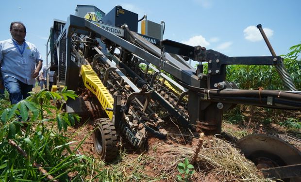 Única no mundo, colhedora de mandioca supera desafio tecnológico de primeira grandeza