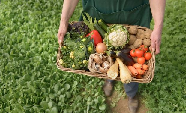 Agricultura e a pecuária têm a “cadeia mais longa” da sociedade e interface com economia, política, nutrição, meio ambiente, ciência e relações internacionais até cultura, tradições e sociedade.