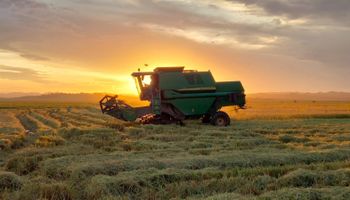RS colhe 12% da área semeada com arroz em 2022/2023, diz IRGA