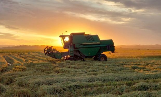 Colheita de arroz em andamento no RS, safra 2022/2023. (foto - Pedro Hamann/IRGA)