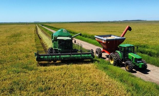 Conab anuncia R$ 73,6 milhões para apoiar comercialização de arroz