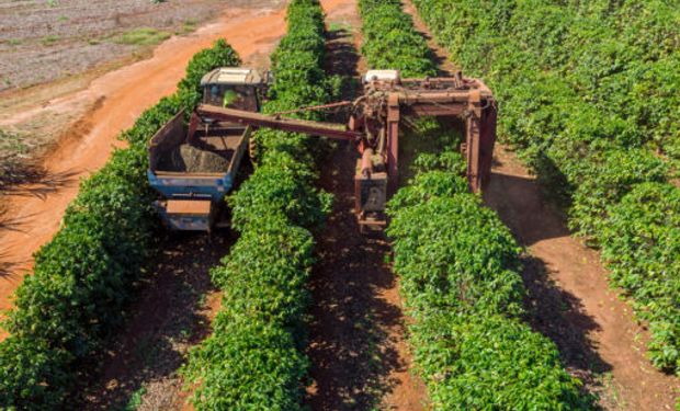 Cooxupé: conheça a história da maior produtora de café do mundo