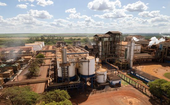 Companhia reorganiza operação, amplia uso de tecnologia no campo e aposta em eficiência para enfrentar cenário de preços pressionados