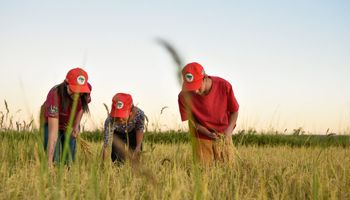 MST faz vaquinha para financiar projetos de reforma agrária