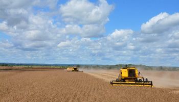 Crédito rural atingiu R$ 96,6 bilhões no primeiro semestre de 2024