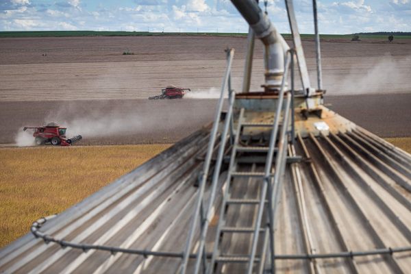 colheita-graos-armazenagem-agricola-brasil-ibge-2025
