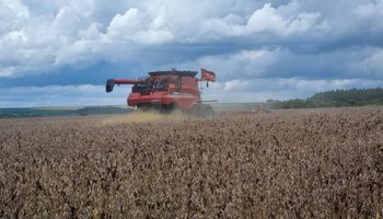 Aprosoja estima redução de 15% na produção de soja em Goiás