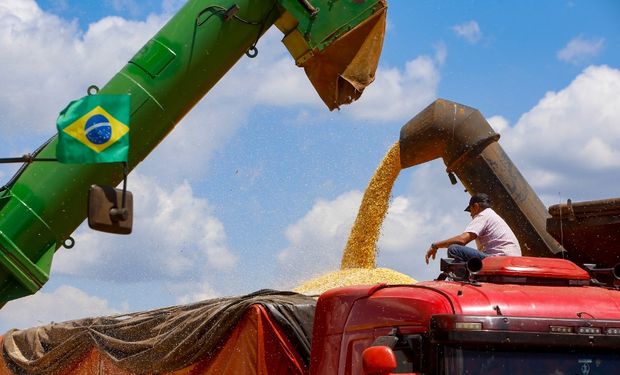 Os trabalhos de colheita atingem 9,7% no Paraná.  (Foto - Gilson Abreu/AEN)