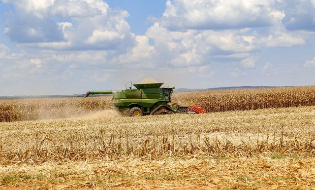Paraná dá a largada na colheita para 2ª safra de milho