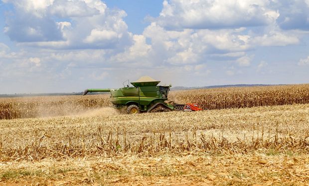 Paraná dá a largada na colheita para 2ª safra de milho