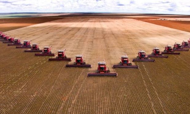 Brasil deve exportar o recorde de 21,5 milhões de toneladas de farelo de soja na temporada 2022/23. (foto - CNA)