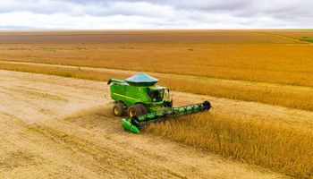 Governo de MT diz que Abiove comunicou fim da Moratória da Soja