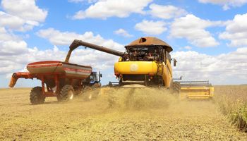 Colheita da soja 2025/26 começa com expectativa de safra recorde no Brasil