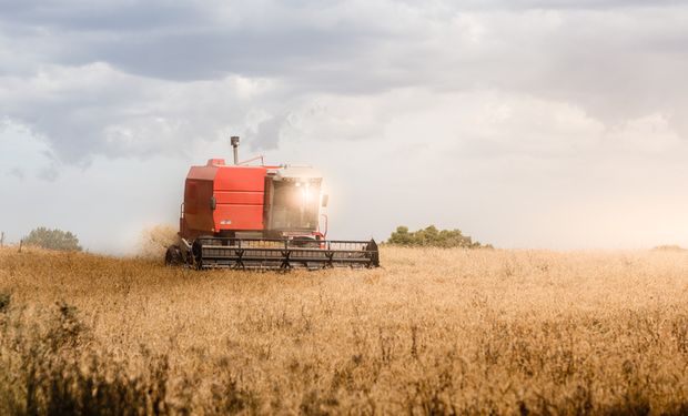 Cotação do trigo quebra barreira dos R$ 2 mil pela primeira vez