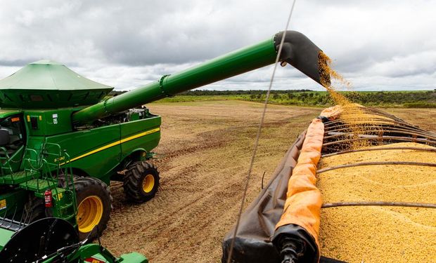 Mato Grosso, sozinho, produzirá mais de 100 milhões de toneladas de grãos