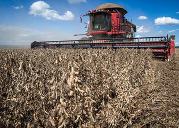 Crédito rural cresce 3% no Plano Safra, mas investimento cai 34%