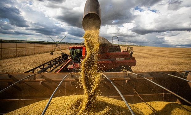 Preços da soja e do milho recuam por menor demanda no início de maio
