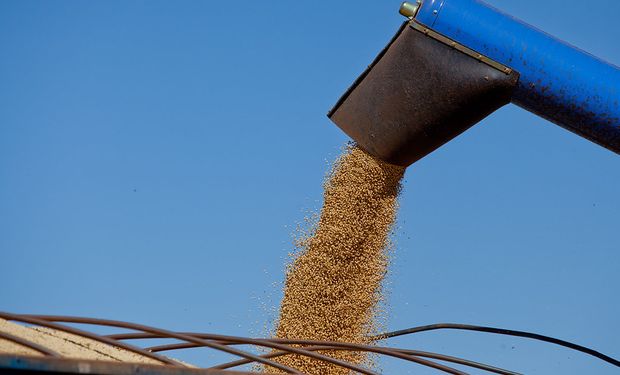 Segundo o Ipea, o crescimento estimado em 61,4% da produção de soja no Sul foi uma das maiores contribuições para o resultado positivo no segundo trimestre. (Foto: Camila Domingues/RS)