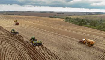 Agronegócio impulsiona distribuição do PIB do Paraná