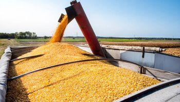 Cotação do milho evolui próxima à estabilidade no Brasil em março