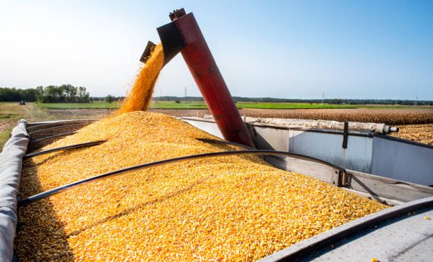Cotação do milho evolui próxima à estabilidade no Brasil em março