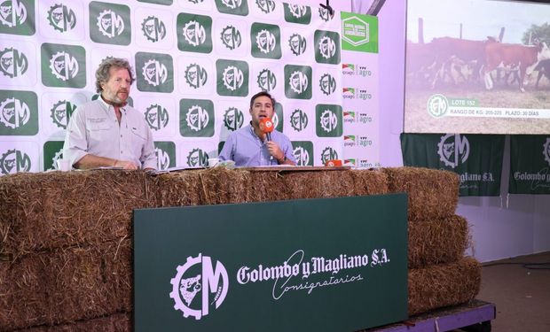 Los remates de hacienda que se harán en Expoagro 2023 edición YPF Agro