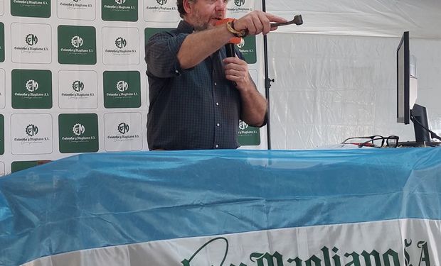 Goya se prepara para un nuevo remate televisado con 7.000 cabezas de invernada y cría