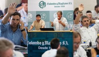 Vaquillonas a $2,4 millones: los precios de la subasta de 19.000 animales del NEA