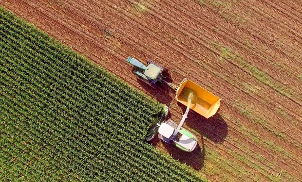 Comafi: la amplia oferta de soluciones para el agro de una de las entidades privadas de capitales argentinos de mayor crecimiento