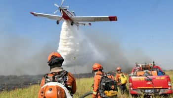 Após caos e recorde de queimadas em 2024, governo e estados antecipam combate a incêndios florestais