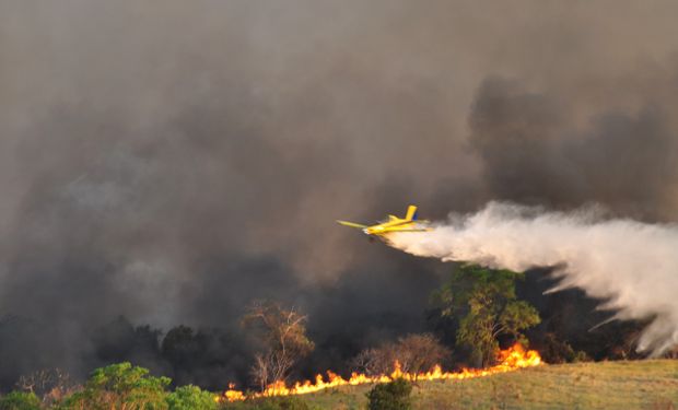 MS se prepara para enfrentar a pior seca da história no Pantanal