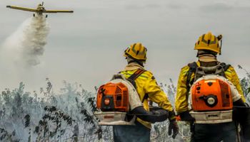 Governo mobiliza 4,6 mil brigadistas e divulga plano nacional contra incêndios em 2026