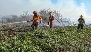 Além de SP, incêndios também causam duas mortes no Centro-Oeste 