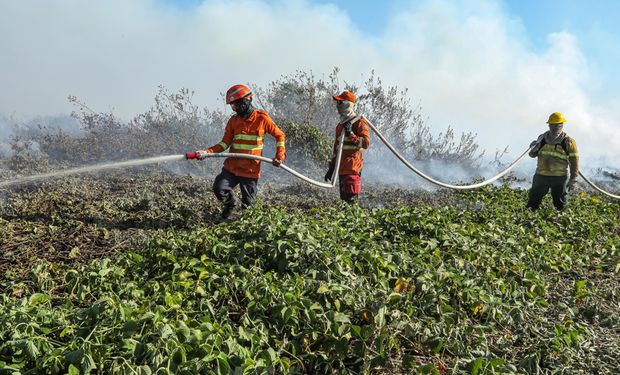 Além de SP, incêndios também causam duas mortes no Centro-Oeste