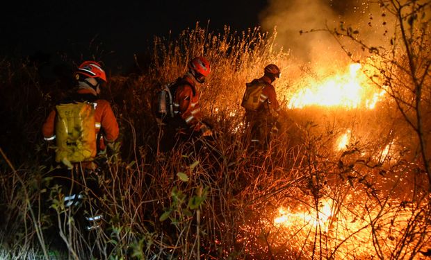 Governo reforça que a população deve redobrar os cuidados, evitar queimadas e colaborar com denúncias. (Foto - Bruno Rezende)